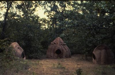 Untitled Huts